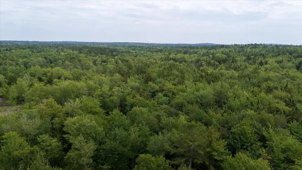 M214 L23c1 Autumn Marsh Road Saint George ME 04860