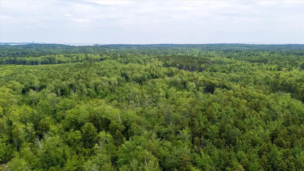 M214 L23c1 Autumn Marsh Road Saint George ME 04860