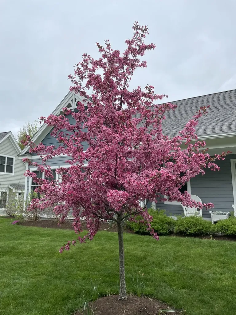 16 Frontier Way Arundel ME 04046