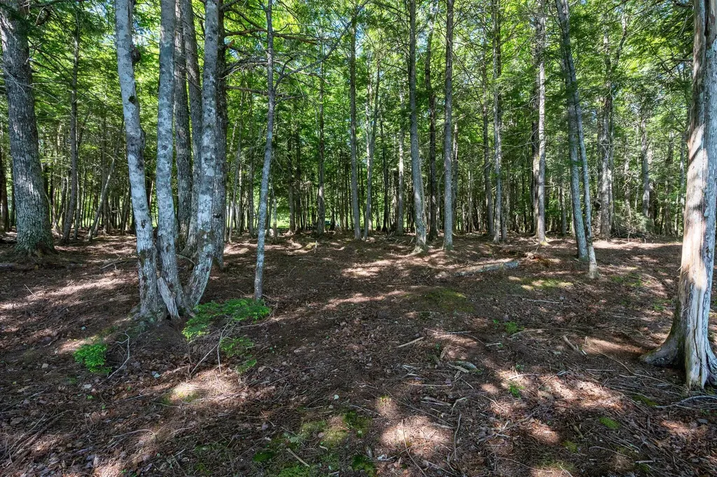 Lot 5 Black Cat Point Princeton ME 04668