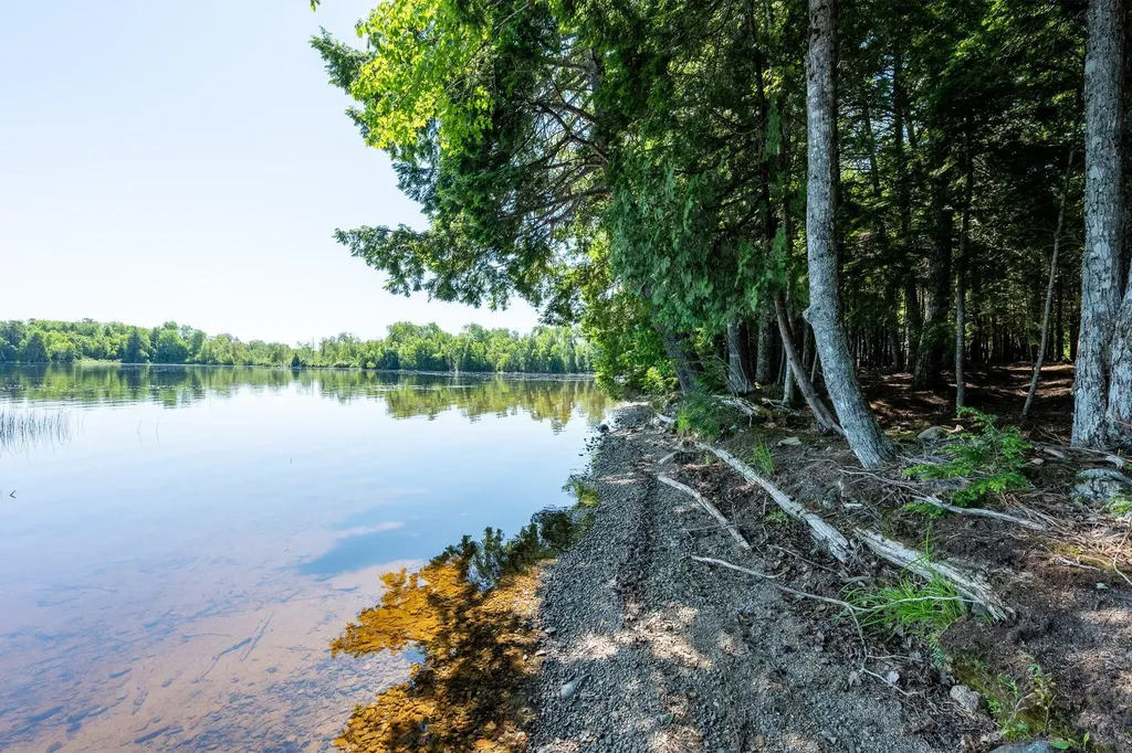 Lot 5 Black Cat Point Princeton ME 04668