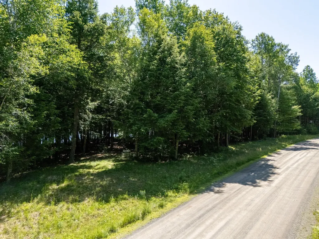 Lot 5 Black Cat Point Princeton ME 04668