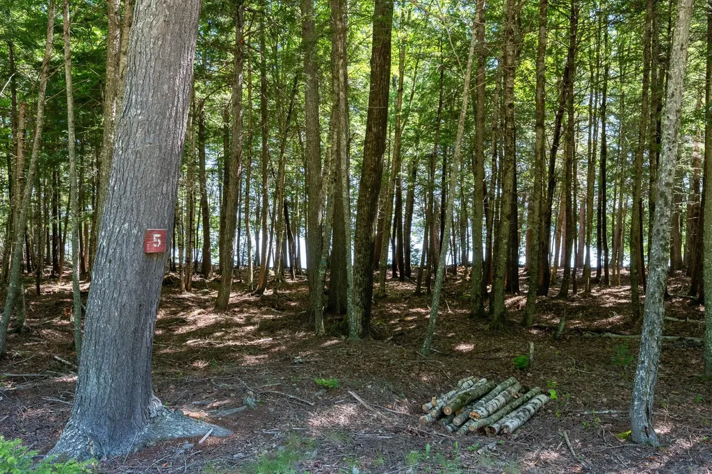 Lot 5 Black Cat Point Princeton ME 04668