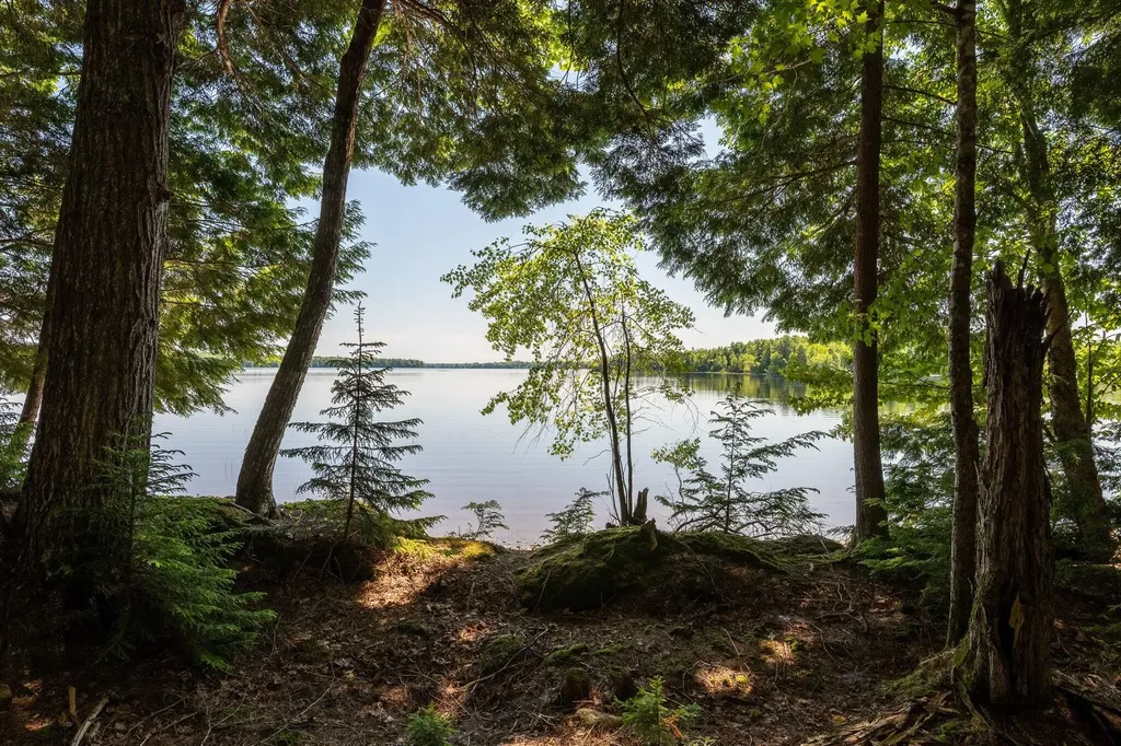 Lot 5 Black Cat Point Princeton ME 04668