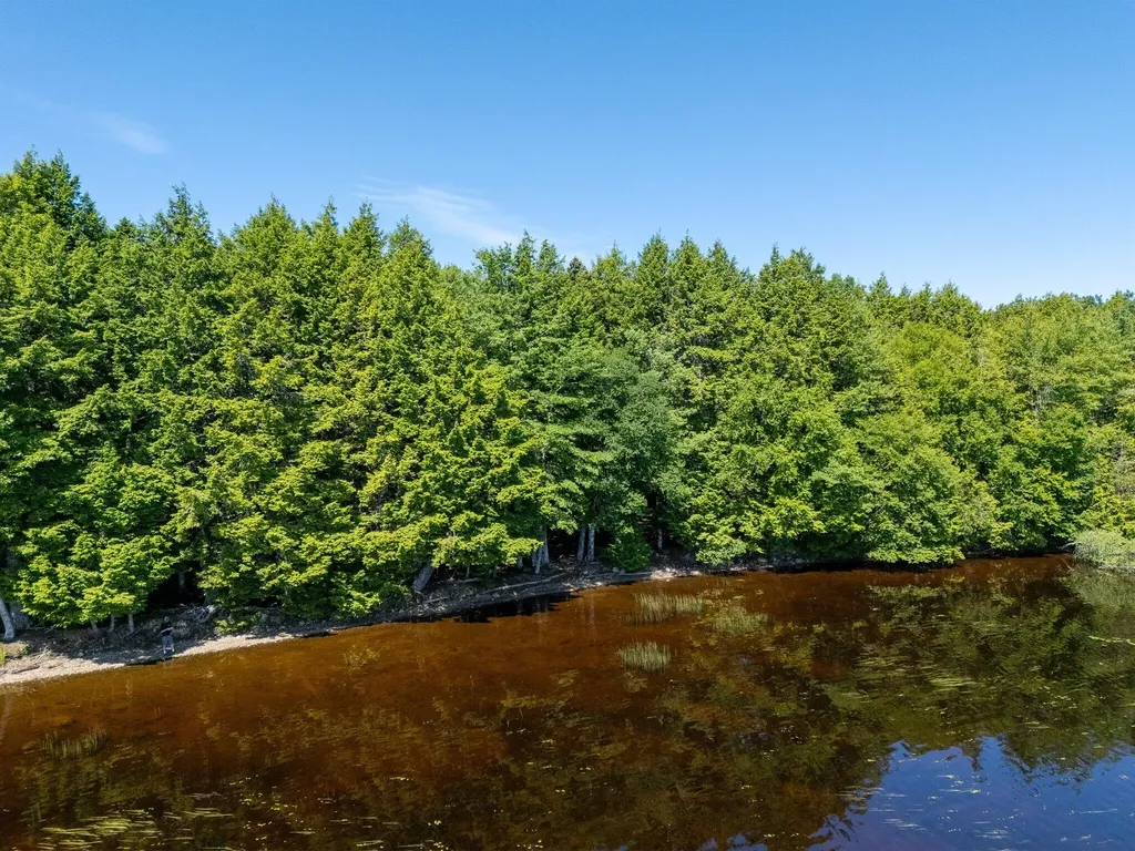 Lot 5 Black Cat Point Princeton ME 04668