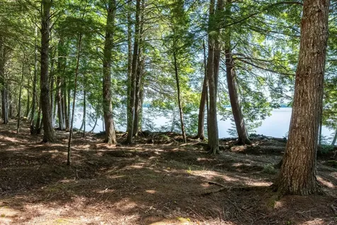 Lot 5 Black Cat Point Princeton ME 04668