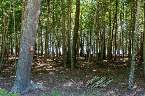 Lot 5 Black Cat Point Princeton ME 04668