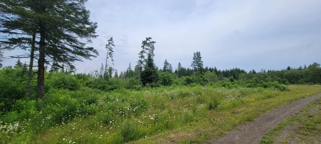 M23 L32 Madawaska ME 04756