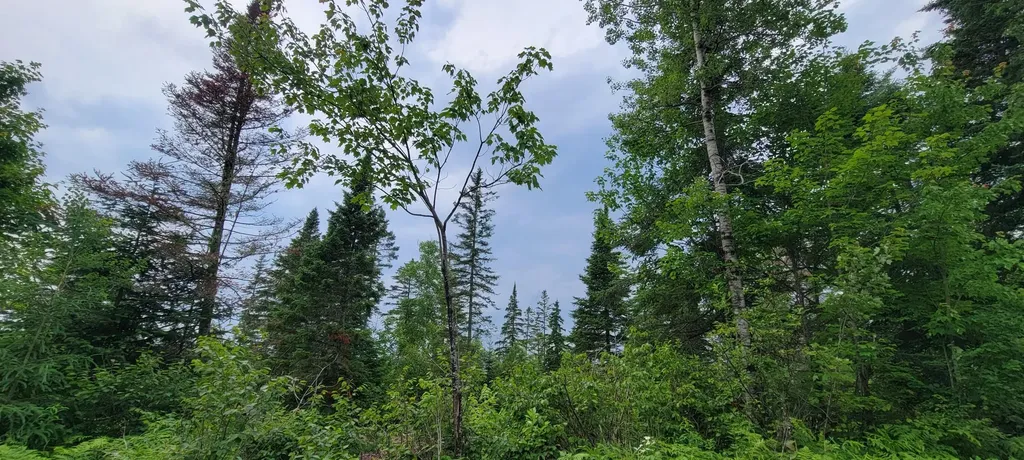 M23 L32 Madawaska ME 04756