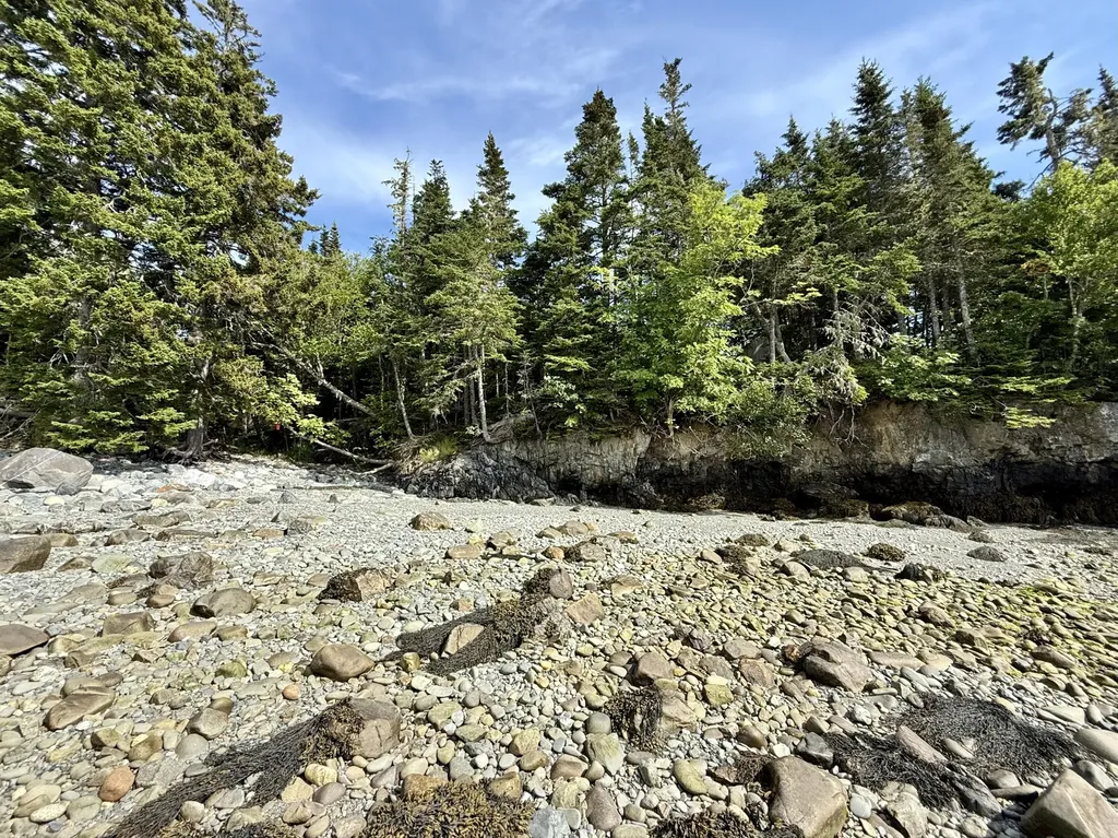 69 Jims Head Road Lubec ME 04652