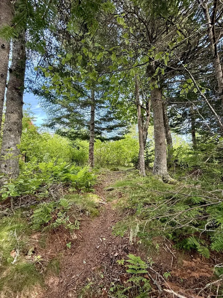 69 Jims Head Road Lubec ME 04652