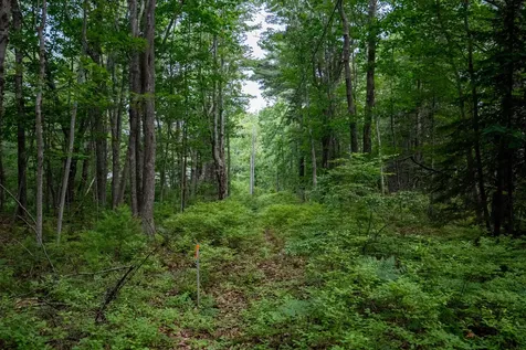 0 Wildes District Road Kennebunkport ME 04046