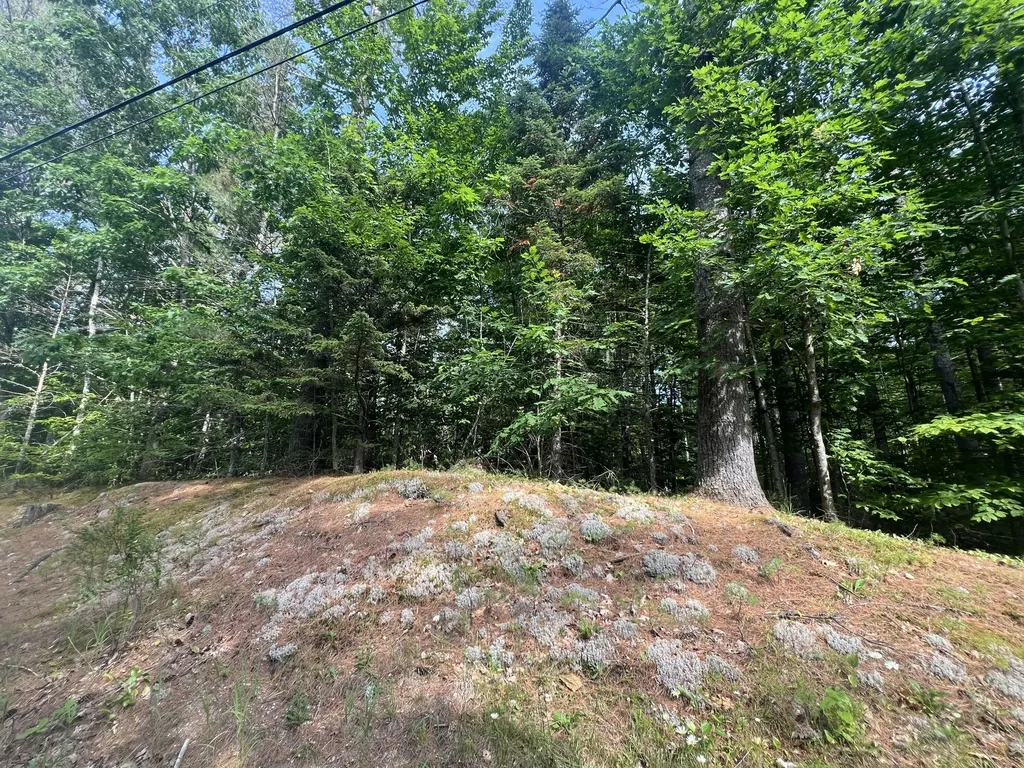 Lot #5 Intervale Road Bethel ME 04217