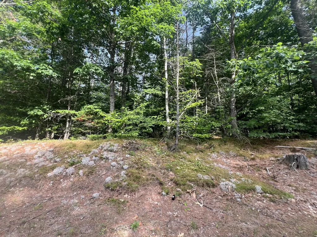 Lot #5 Intervale Road Bethel ME 04217