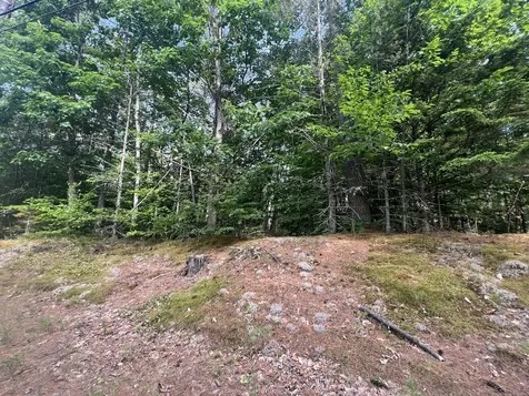 Lot #5 Intervale Road Bethel ME 04217