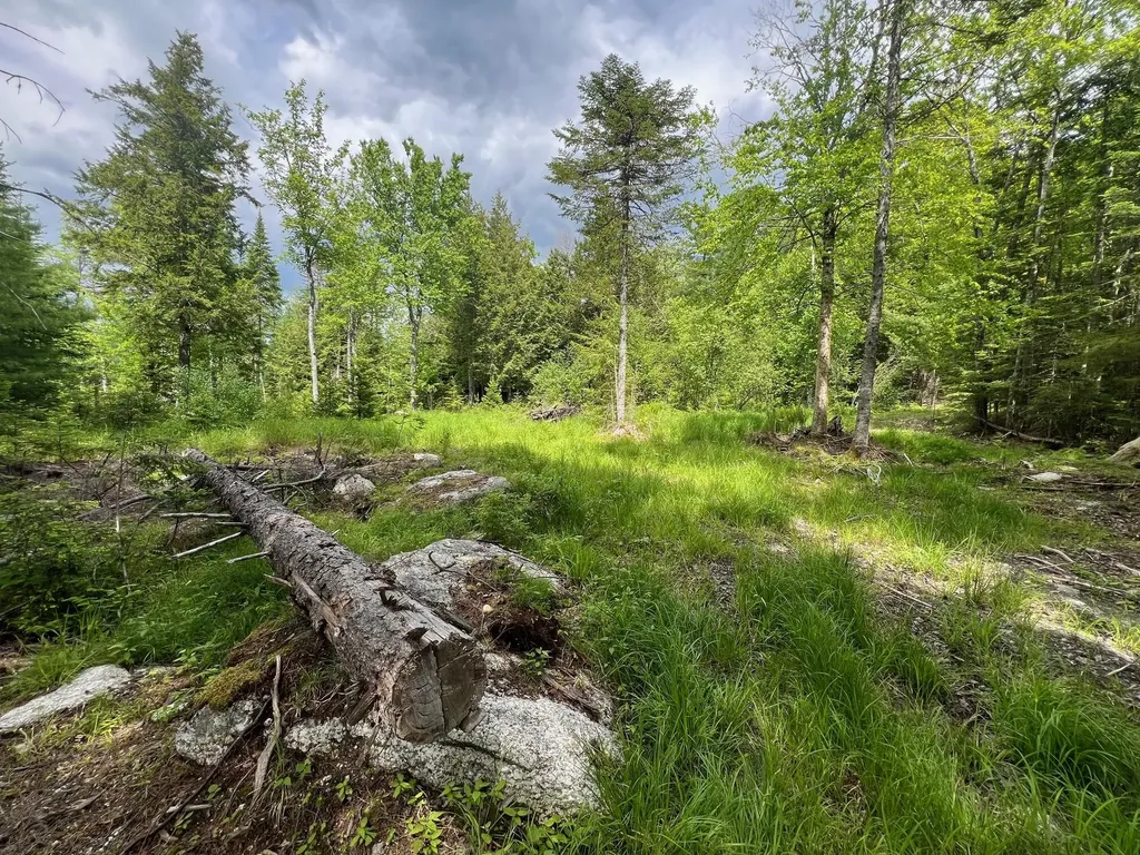 Tbd Marks Mountain Way Dedham ME 04429