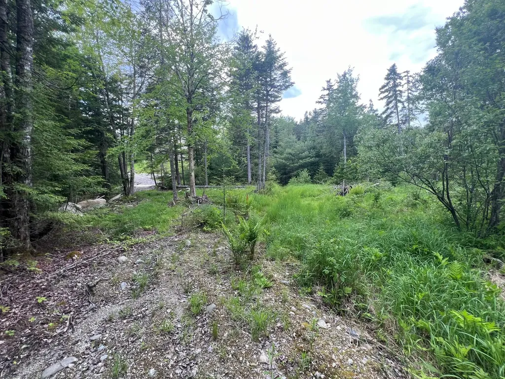 Tbd Marks Mountain Way Dedham ME 04429