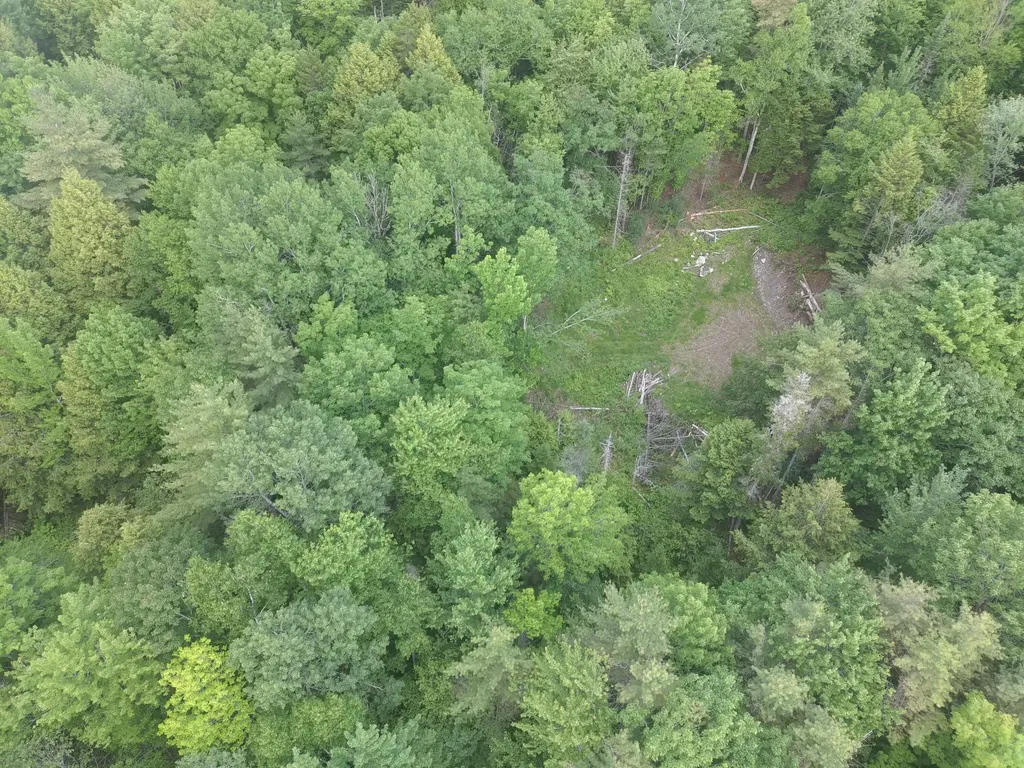 Tbd Marks Mountain Way Dedham ME 04429