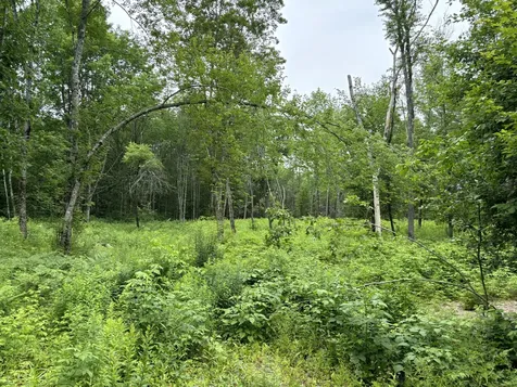 96 West Washington Road Washington ME 04574