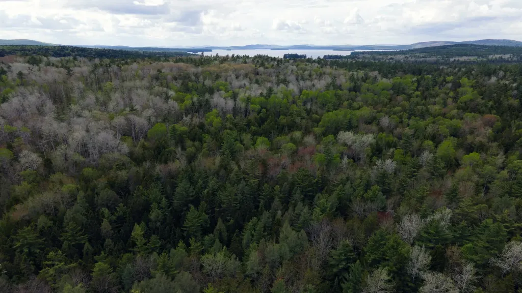 214 Milford Road Grand Lake Stream Plt ME 04668