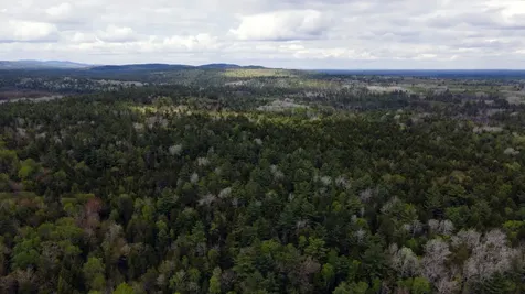 214 Milford Road Grand Lake Stream Plt ME 04668