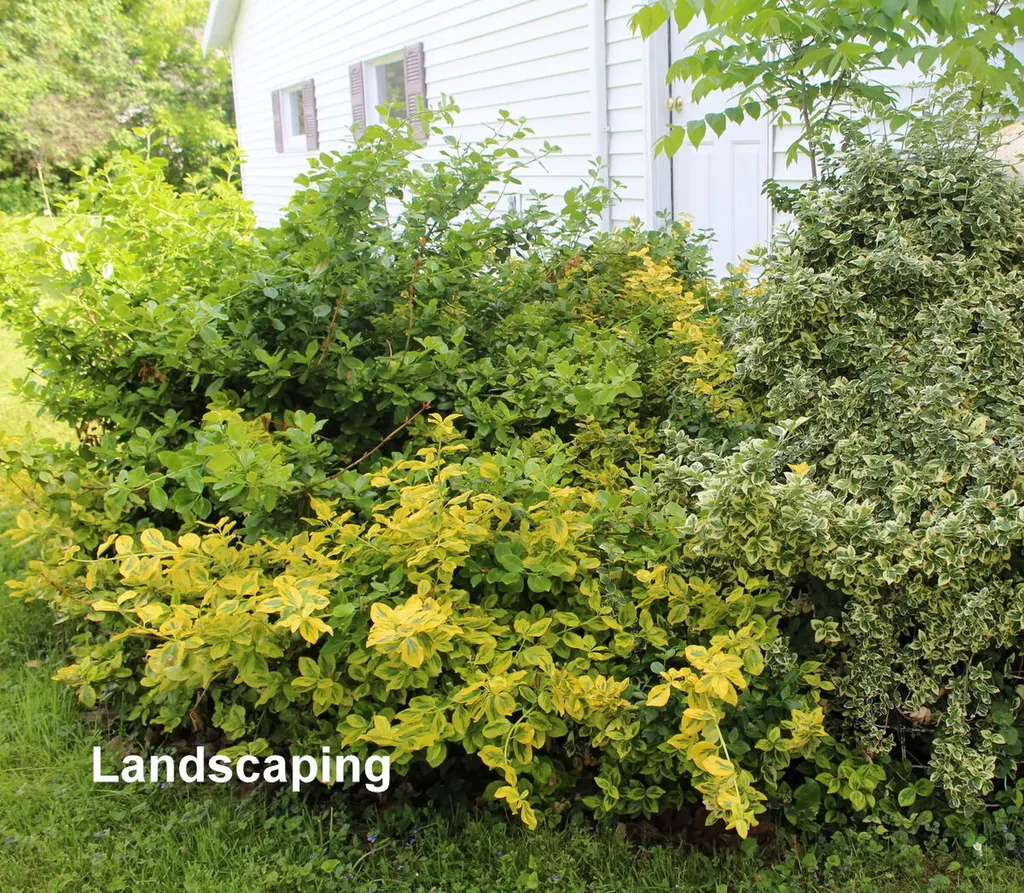 225 Webber Avenue Lewiston ME 04240