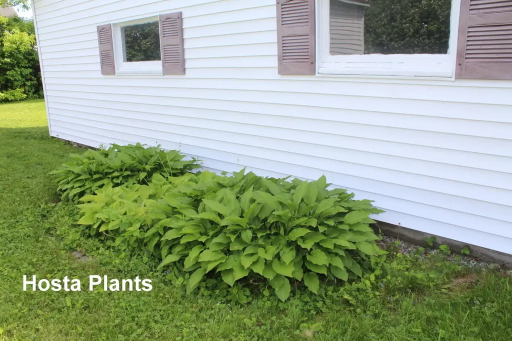 225 Webber Avenue Lewiston ME 04240