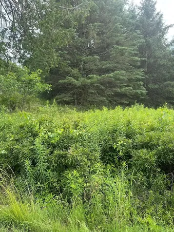 Lot 5 Soper Road Orland ME 04413