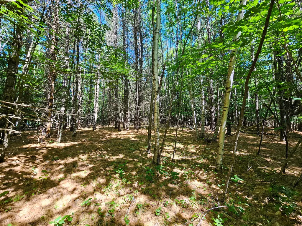 11-31-C Stone Hill Road Farmington ME 04938