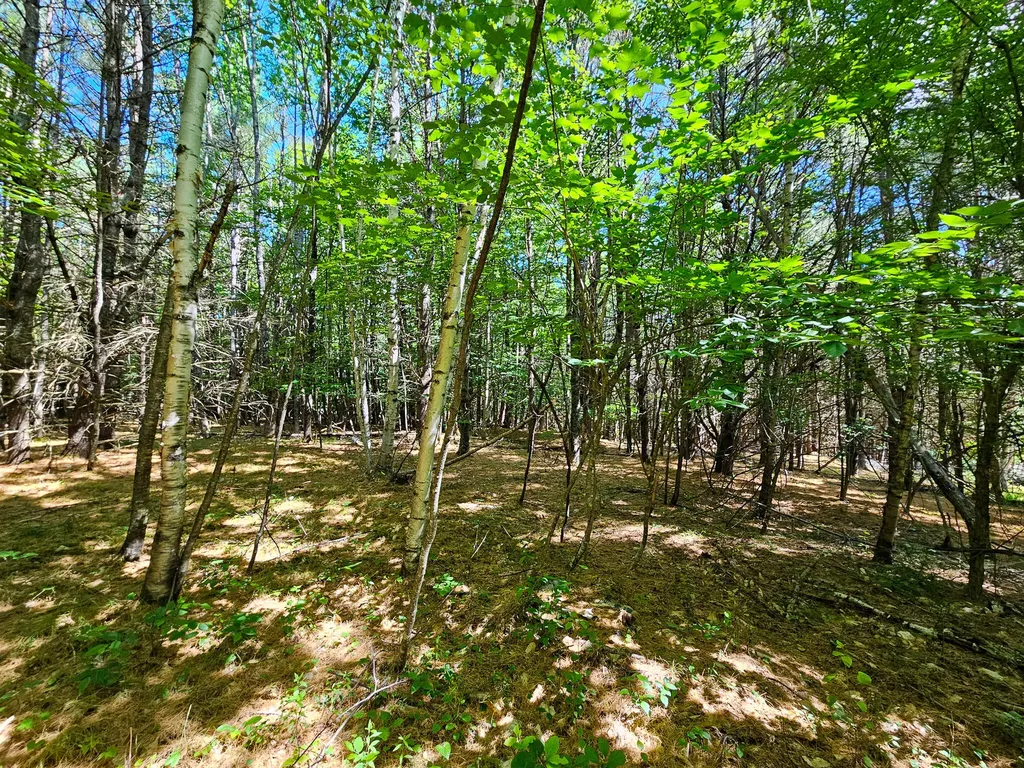 11-31-C Stone Hill Road Farmington ME 04938