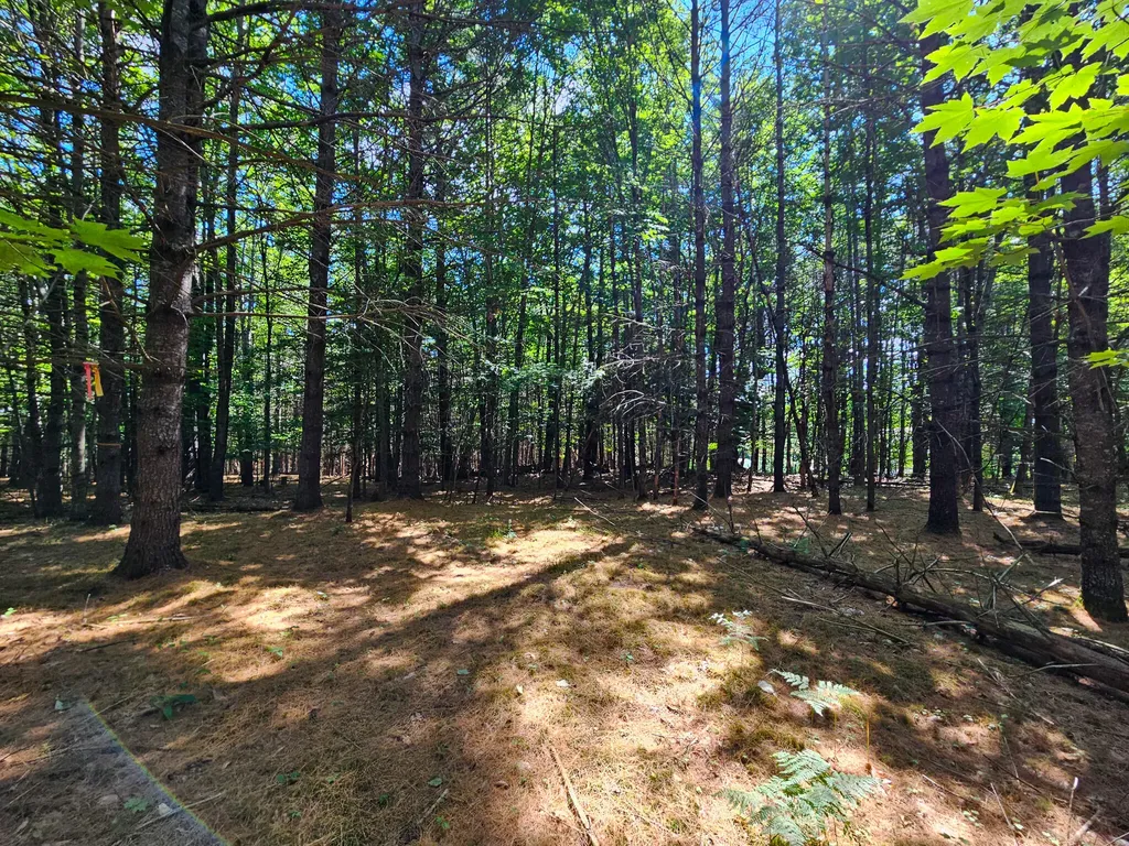 11-31-C Stone Hill Road Farmington ME 04938