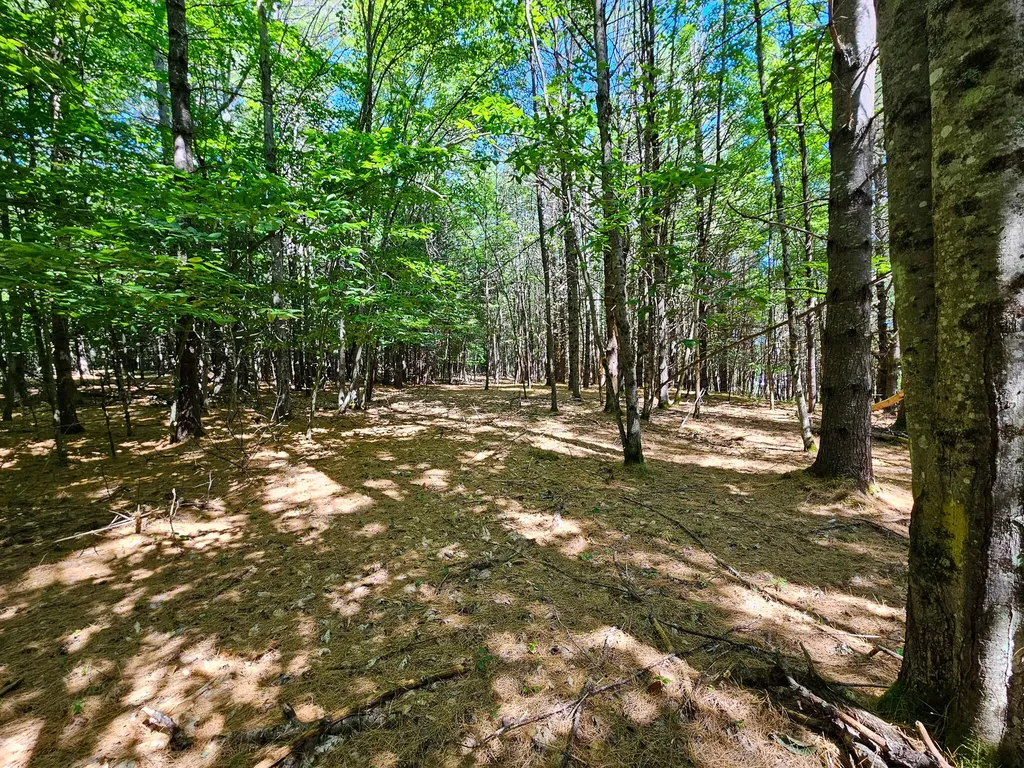 11-31-C Stone Hill Road Farmington ME 04938