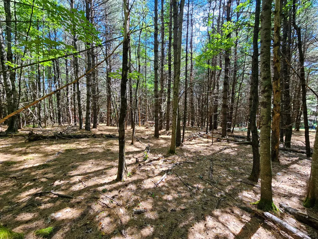 11-31-C Stone Hill Road Farmington ME 04938