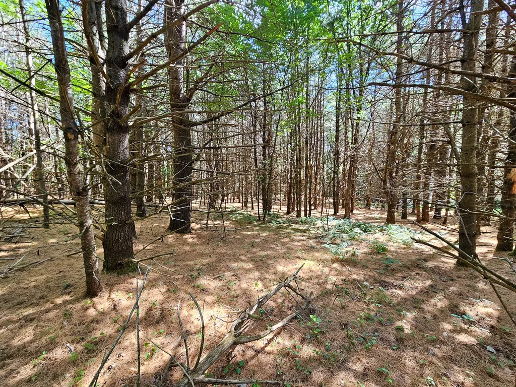 11-31-C Stone Hill Road Farmington ME 04938