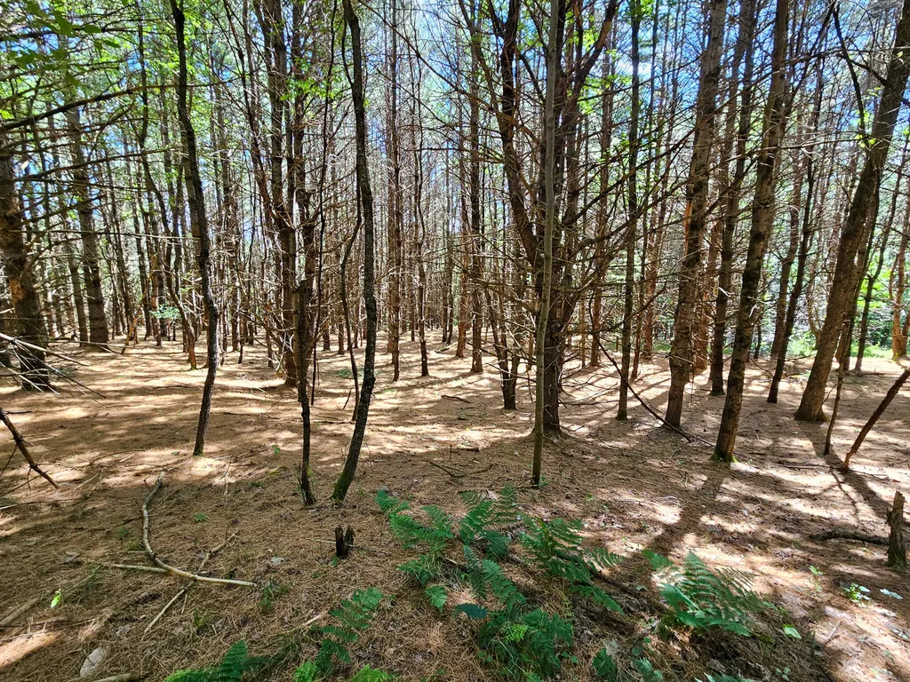 11-31-C Stone Hill Road Farmington ME 04938