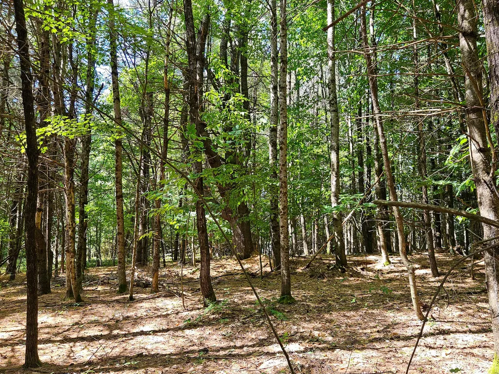11-31-C Stone Hill Road Farmington ME 04938