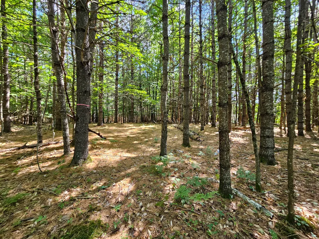 11-31-C Stone Hill Road Farmington ME 04938