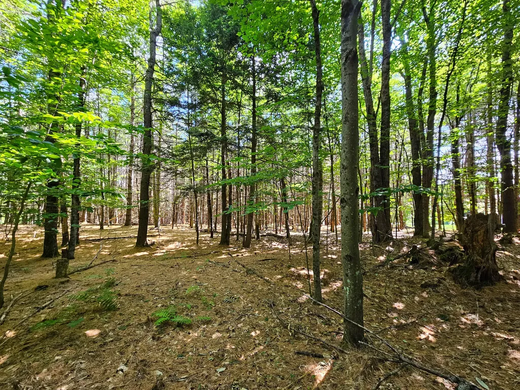 11-31-C Stone Hill Road Farmington ME 04938