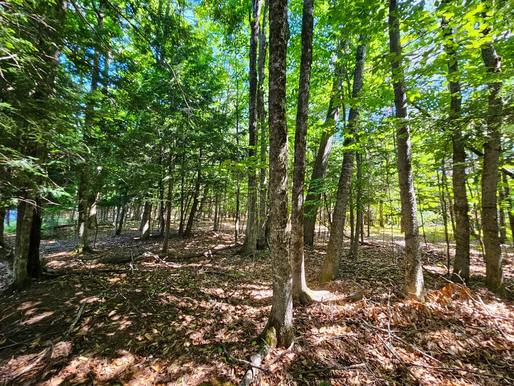 11-31-C Stone Hill Road Farmington ME 04938