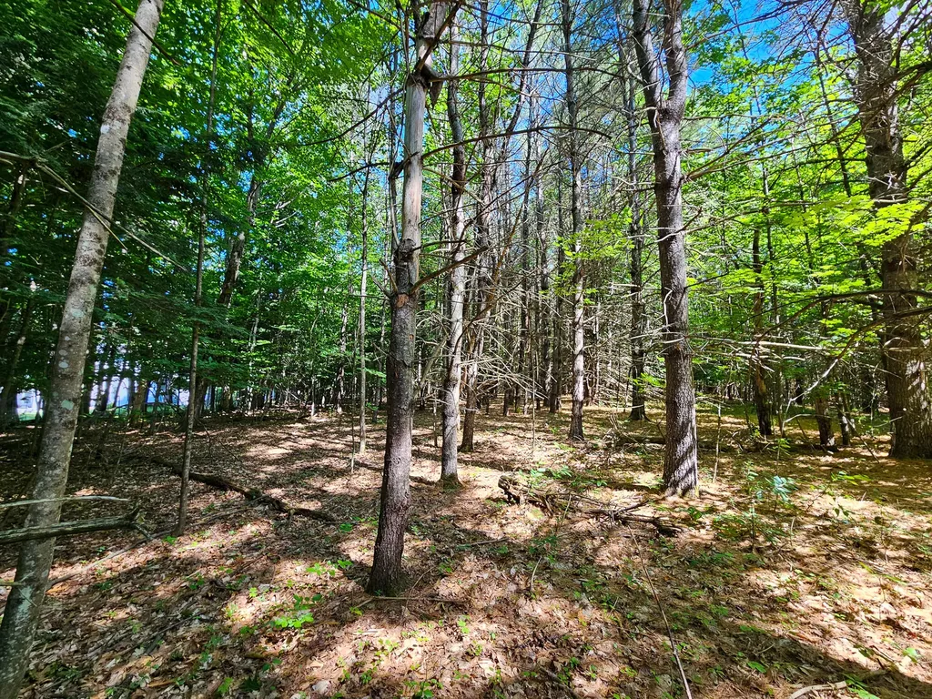11-31-C Stone Hill Road Farmington ME 04938