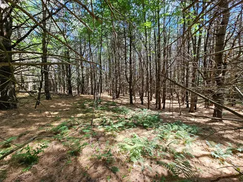 11-31-C Stone Hill Road Farmington ME 04938