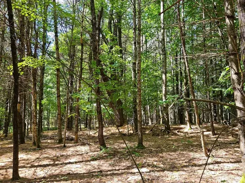 11-31-C Stone Hill Road Farmington ME 04938