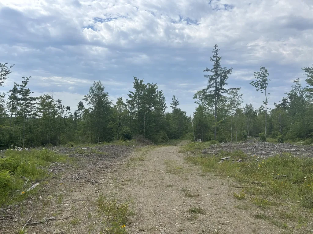 0A Clearcut Lodge Road Springfield ME 04487