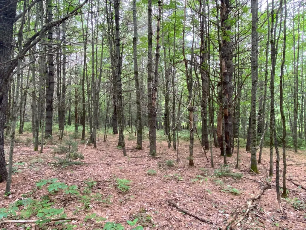 Lot# 17 Guilford Center Road Guilford ME 04443
