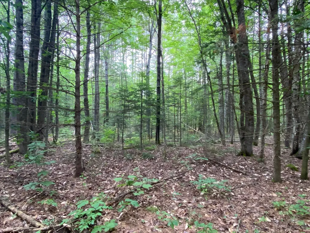 Lot# 17 Guilford Center Road Guilford ME 04443