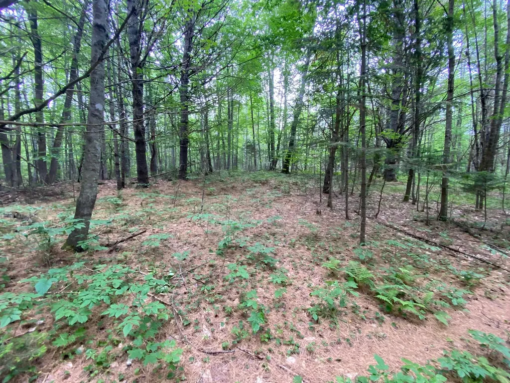 Lot# 17 Guilford Center Road Guilford ME 04443