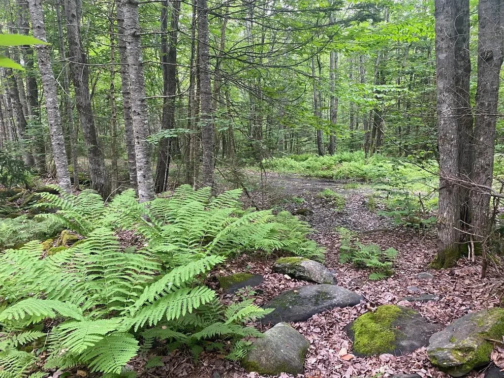 Lot# 17 Guilford Center Road Guilford ME 04443