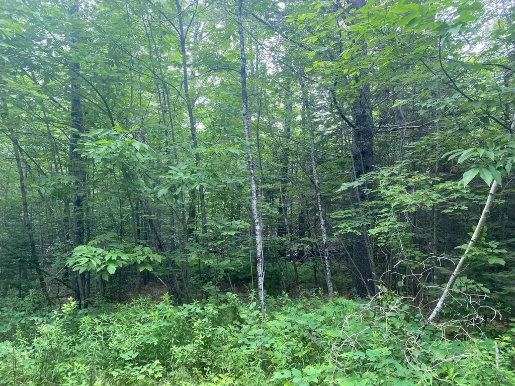 Lot# 17 Guilford Center Road Guilford ME 04443
