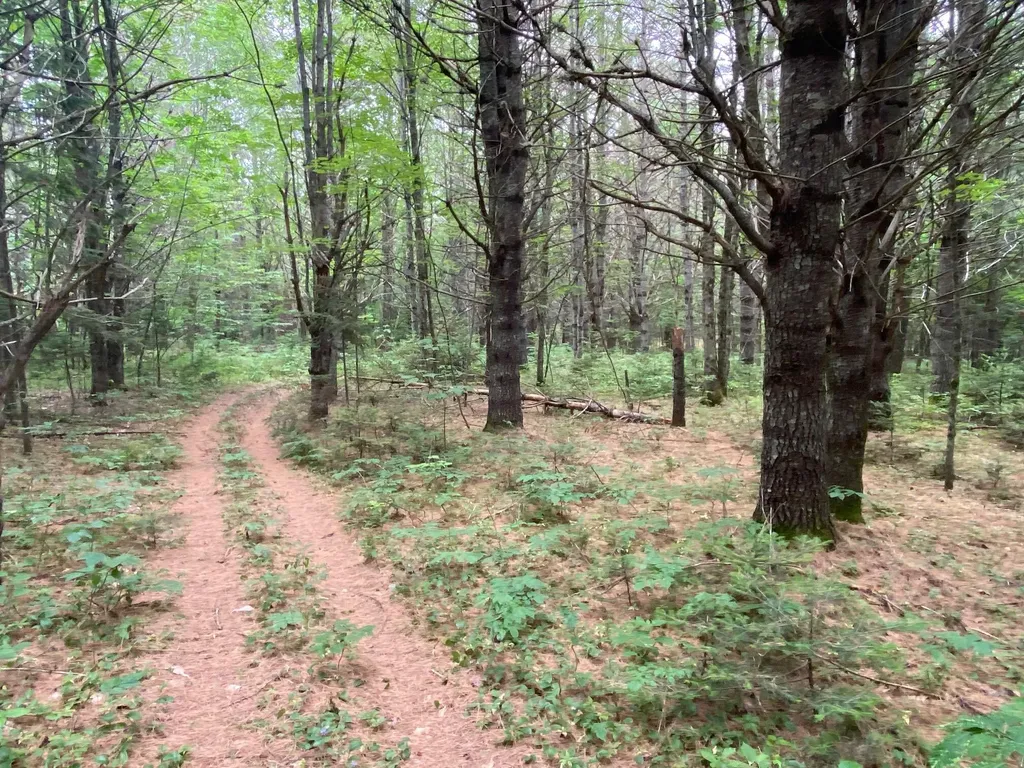 Lot# 17 Guilford Center Road Guilford ME 04443