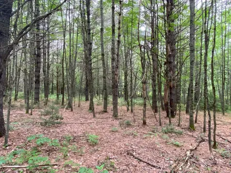 Lot# 17 Guilford Center Road Guilford ME 04443